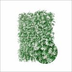 Follaje Artificial Eucalipto Plateado