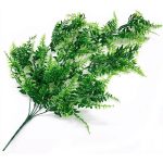 Planta Colgante Helecho Bostoniano