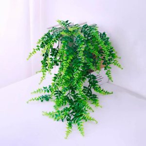 Helecho Filicopsida Artificial