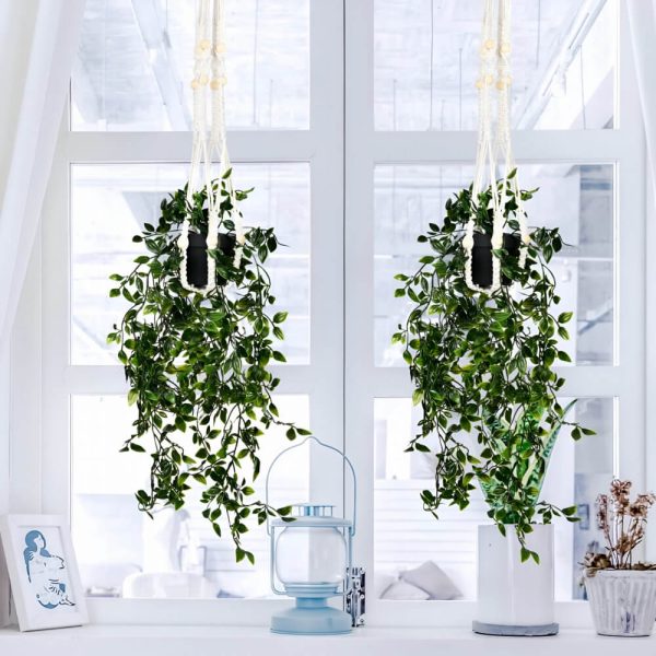 Hoja japonesa con maseta