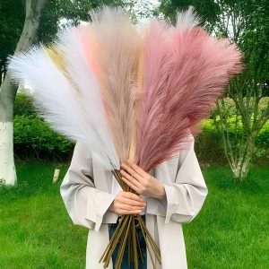 Pampas Decorativas De 120cm