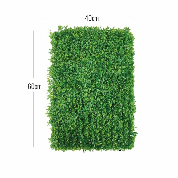 Medidas del follaje hojas de mani