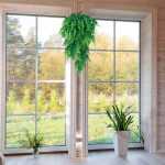 Planta Colgante Helecho Bostoniano