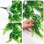 Planta Colgante Helecho Bostoniano