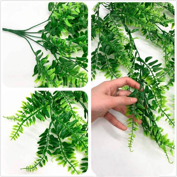 Planta Colgante Helecho Bostoniano