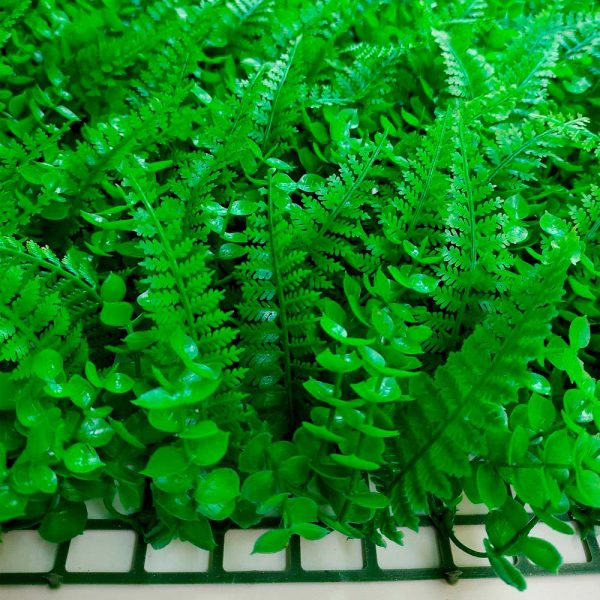 hojas delfollaje de helecho mixto