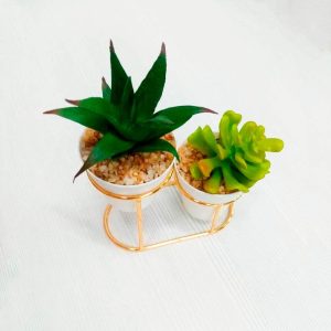 Maceta Doble De Suculentas