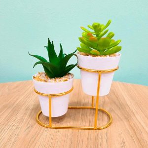 Maceta Doble De Suculentas