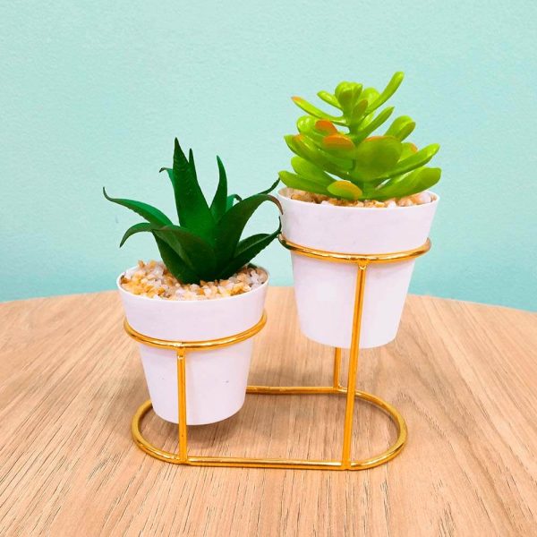 Maceta Doble De Suculentas