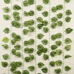 unidad de cada enrredadera