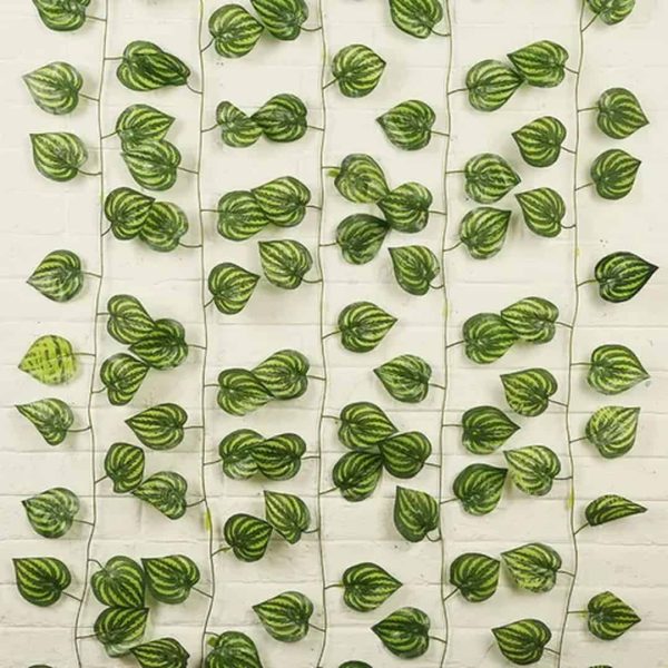 unidad de cada enrredadera