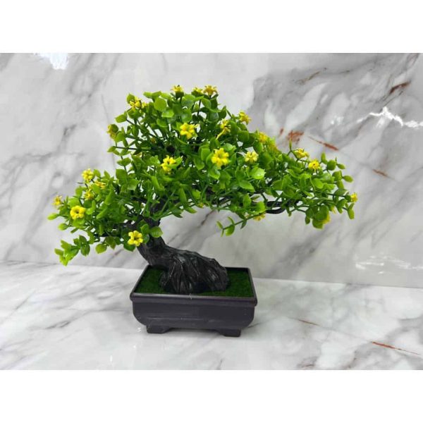 Bonsai amarillo